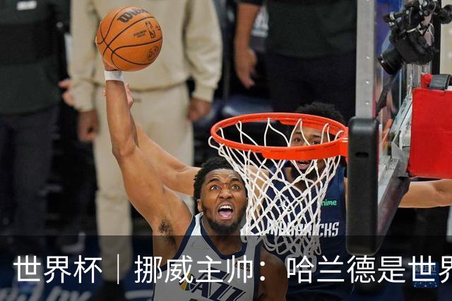 世界杯｜挪威主帅：哈兰德是世界上最好的射手